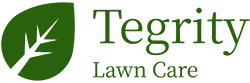 logo-pageheaders-tegritylawn-green-250x83