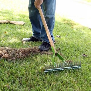 dethatching-rake-landscaping-rakes-2915100-e1_1000